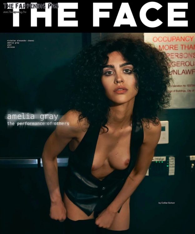 Amelia Gray Nude TheFappening.Pro 2024 624x751 1