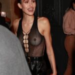 Amelia Gray Hamlin Braless At Saint Laurent Show In Paris (4 Photos) 13 Amelia Gray Hamlin Nudity TheFappening.Pro 1 624x936 1