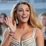 Blake Lively Sexy At ‘Another Simple Favorite’ Premiere (9 Photos) 15 Blake Lively Sexy TheFappening.Pro 7 624x668 1