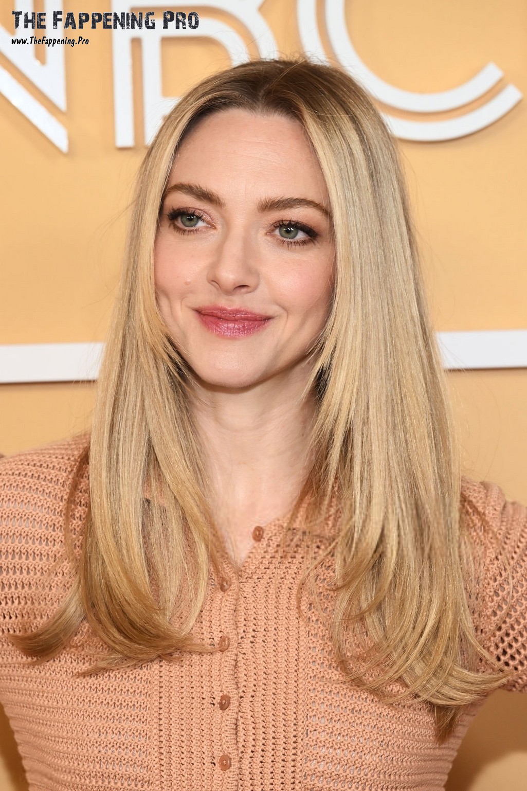 amanda-seyfried-sexy-thefappeningpro-3 Amanda Seyfried