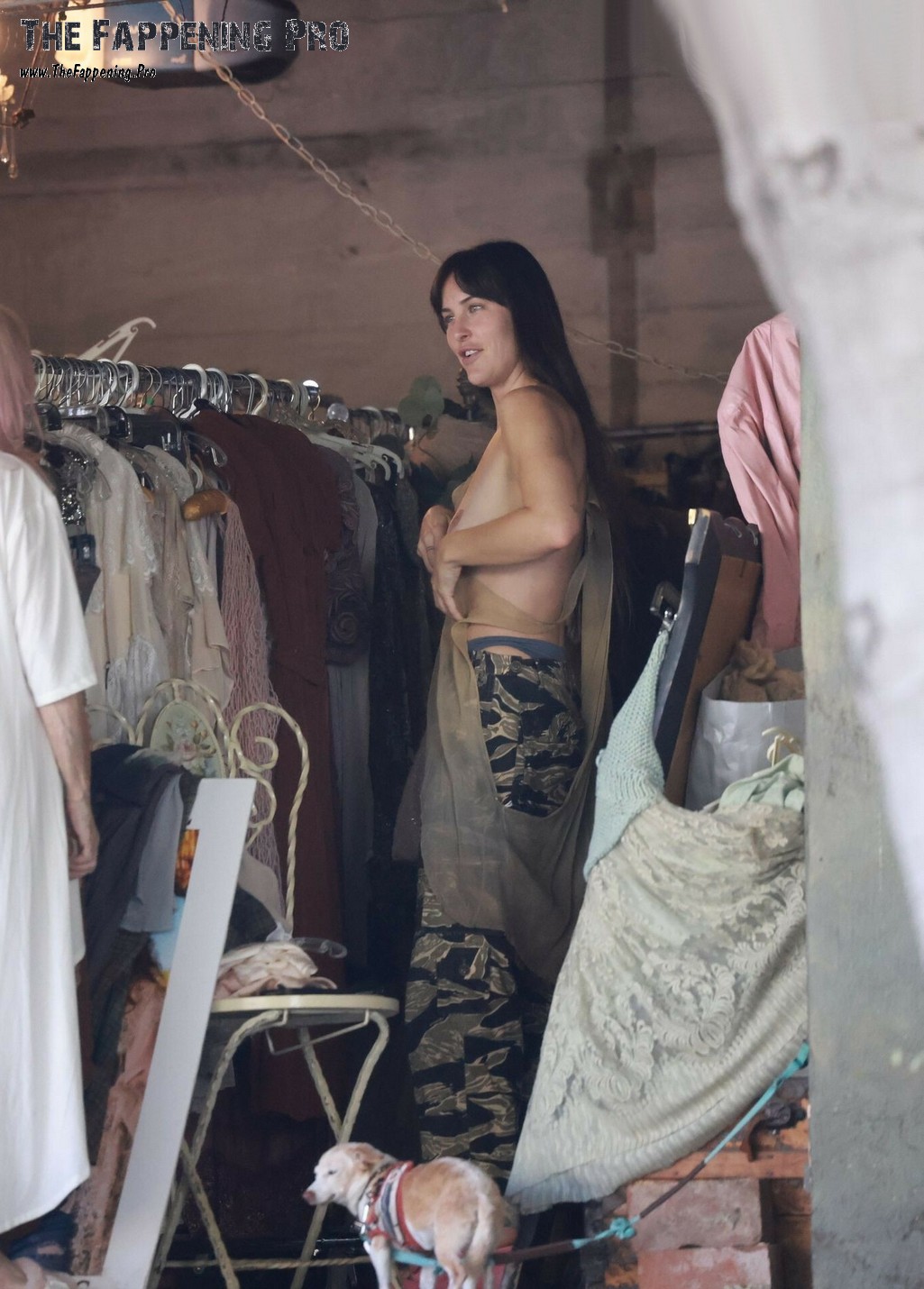 dakota-johnson-nude-thefappeningpro-1 Dakota Johnson Nude