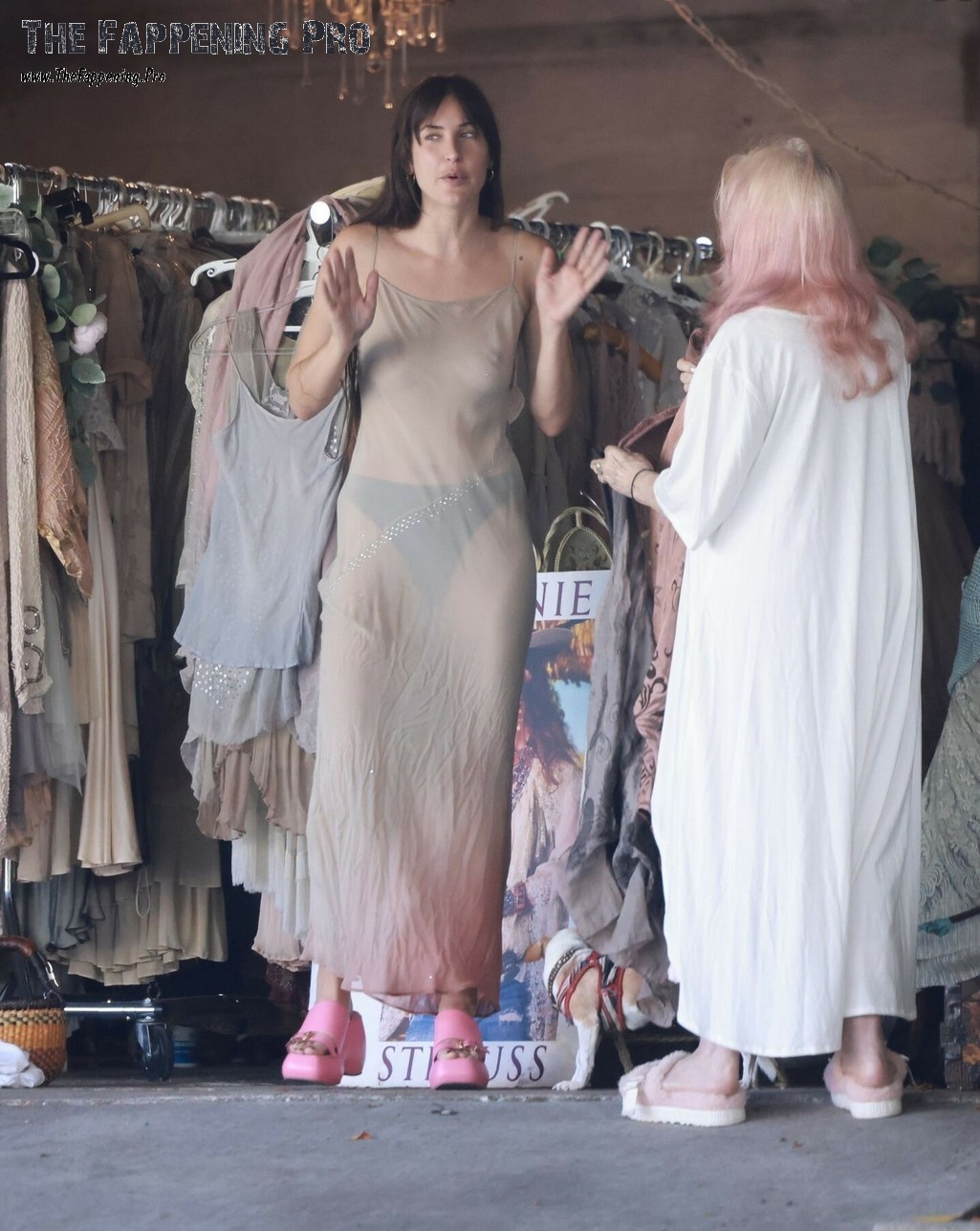 dakota-johnson-nude-thefappeningpro-11 dakota johnson nude thefappeningpro 11