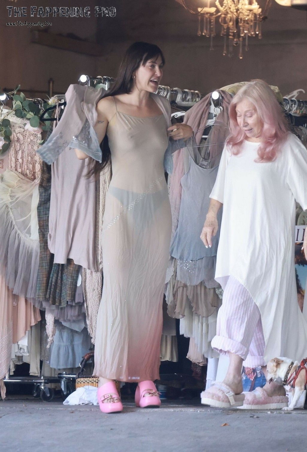 dakota-johnson-nude-thefappeningpro-12 Dakota Johnson TheFappening