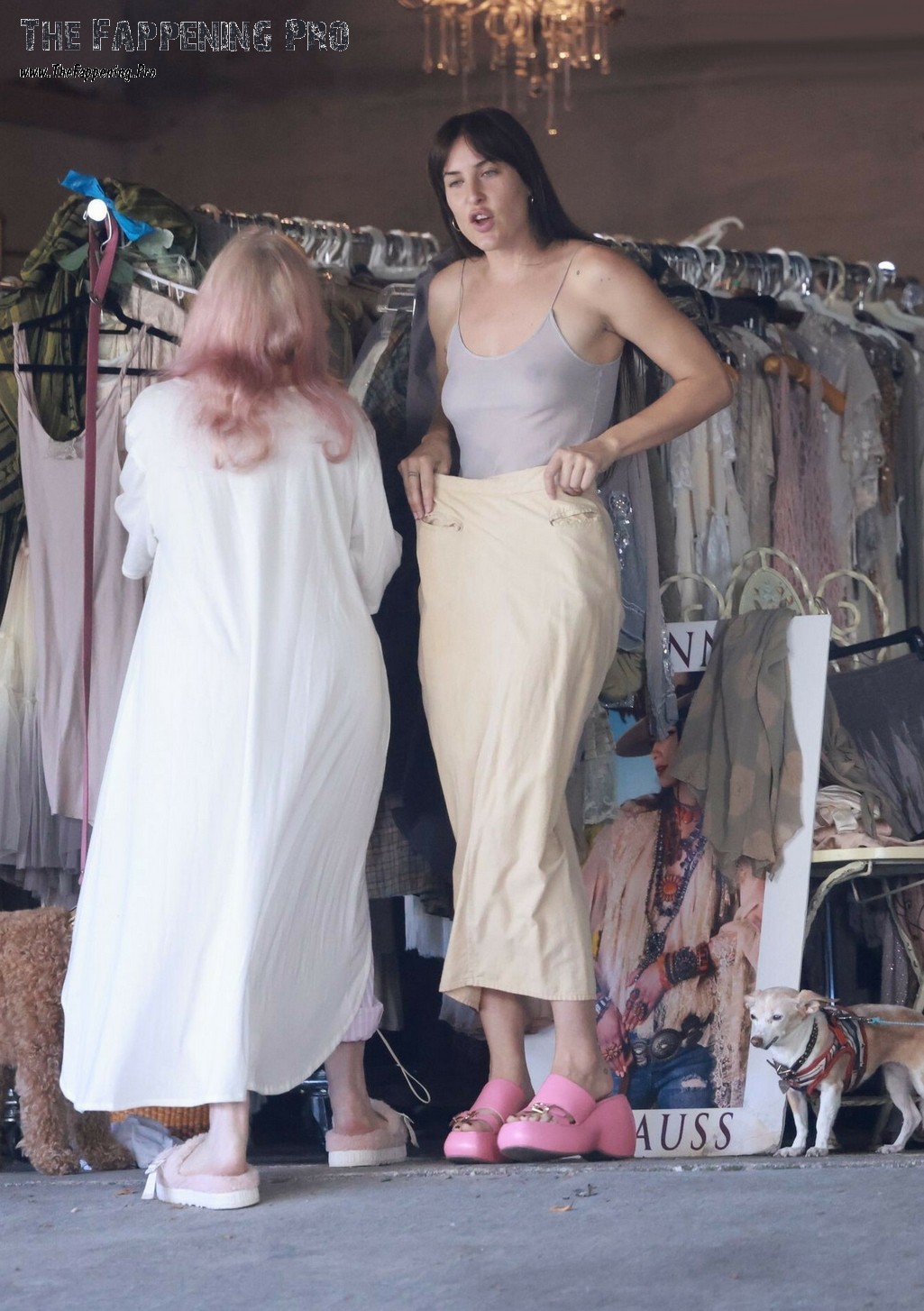 dakota-johnson-nude-thefappeningpro-20 dakota johnson nude thefappeningpro 20