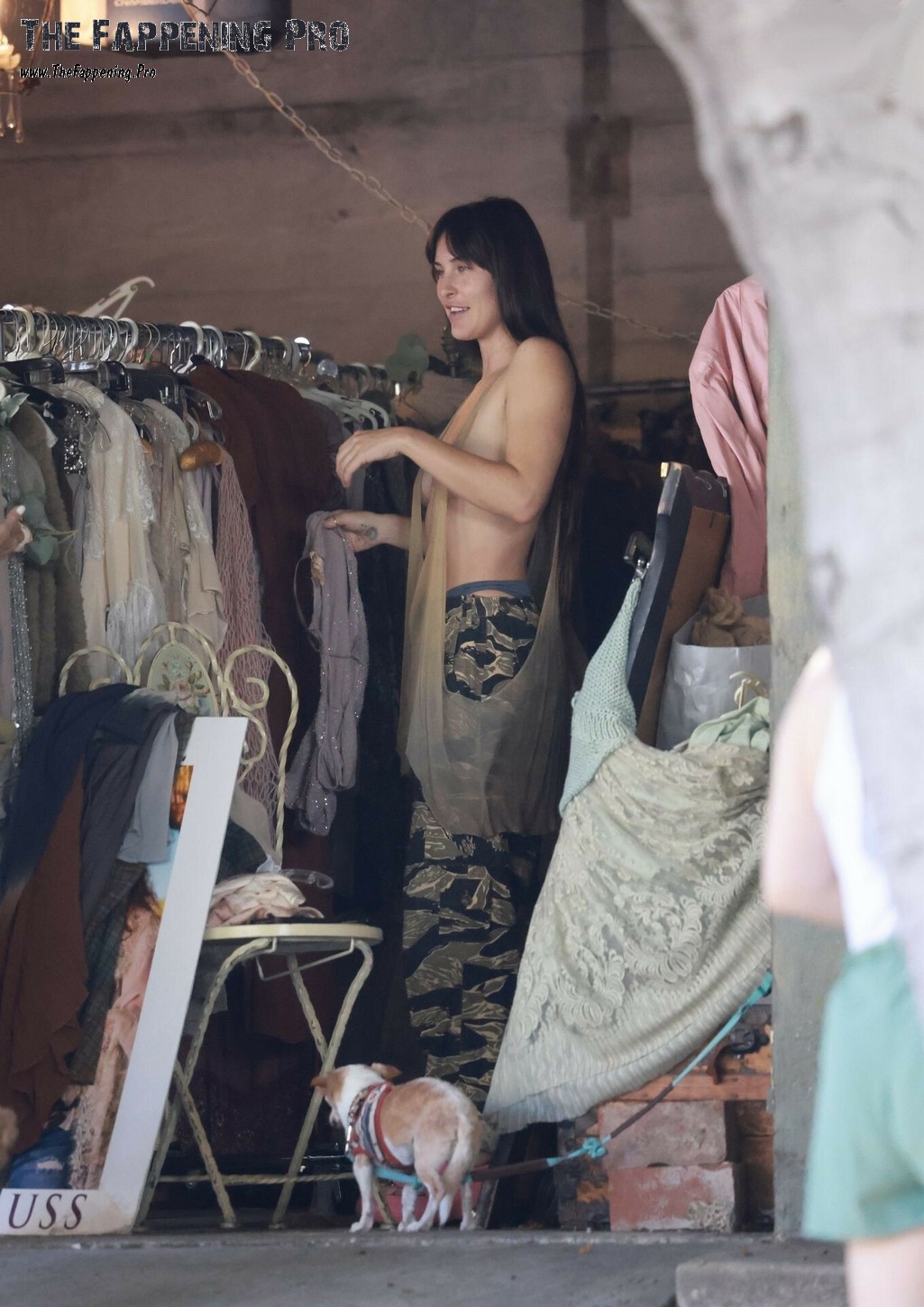 dakota-johnson-nude-thefappeningpro-5 dakota johnson nude thefappeningpro 5