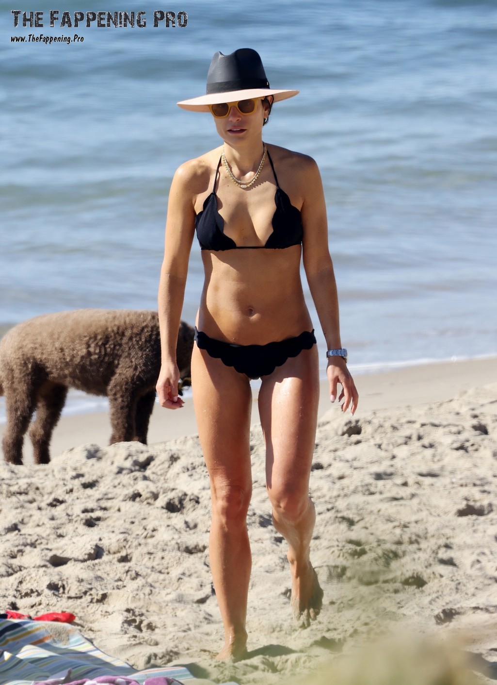 jordana-brewster-sexy-thefappeningpro-16 Jordana Brewster Sexy In Bikini