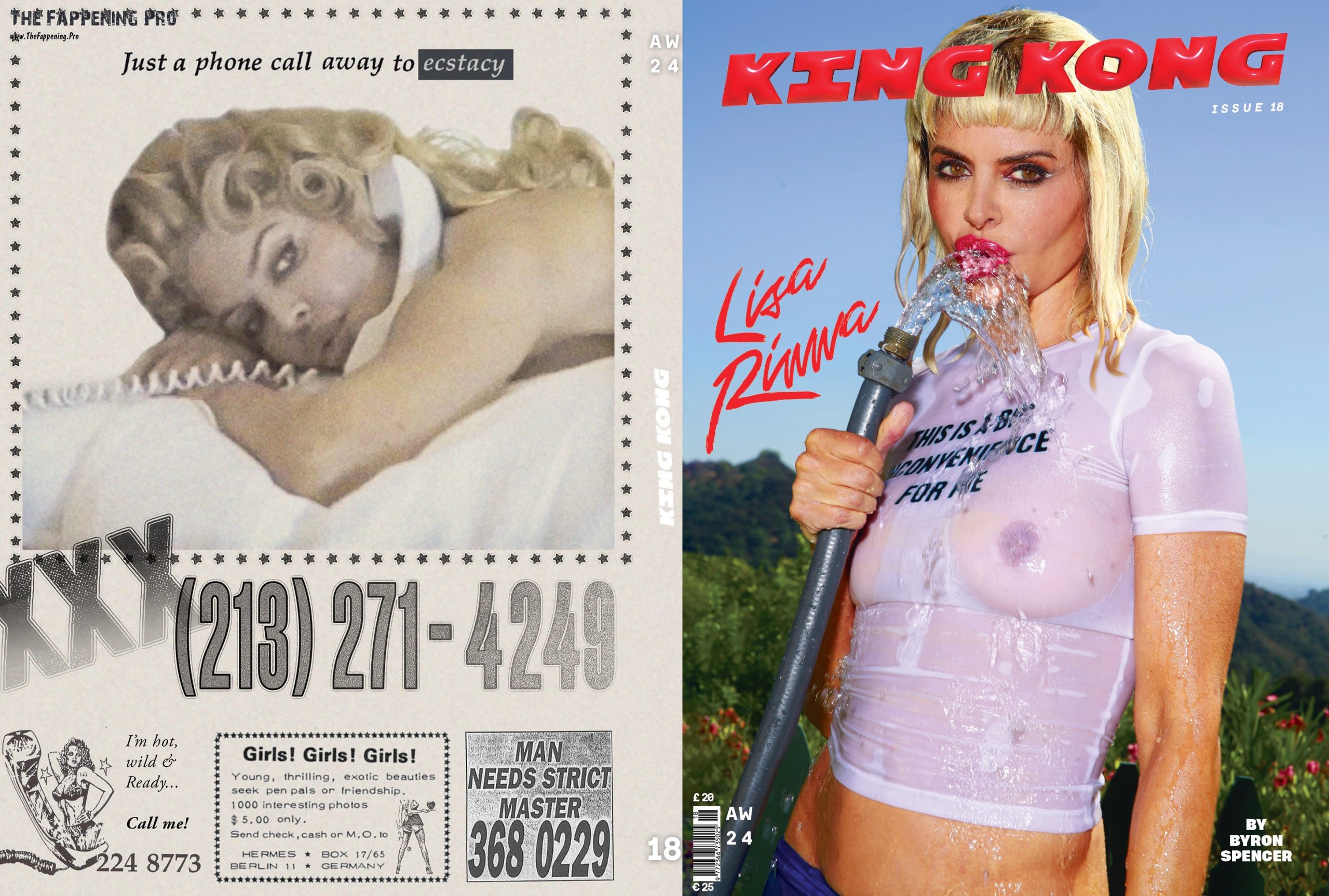 lisa-rinna-nude-thefappening-cfd-2-scaled-1 Lisa Rinna In King Kong Magazine 2024