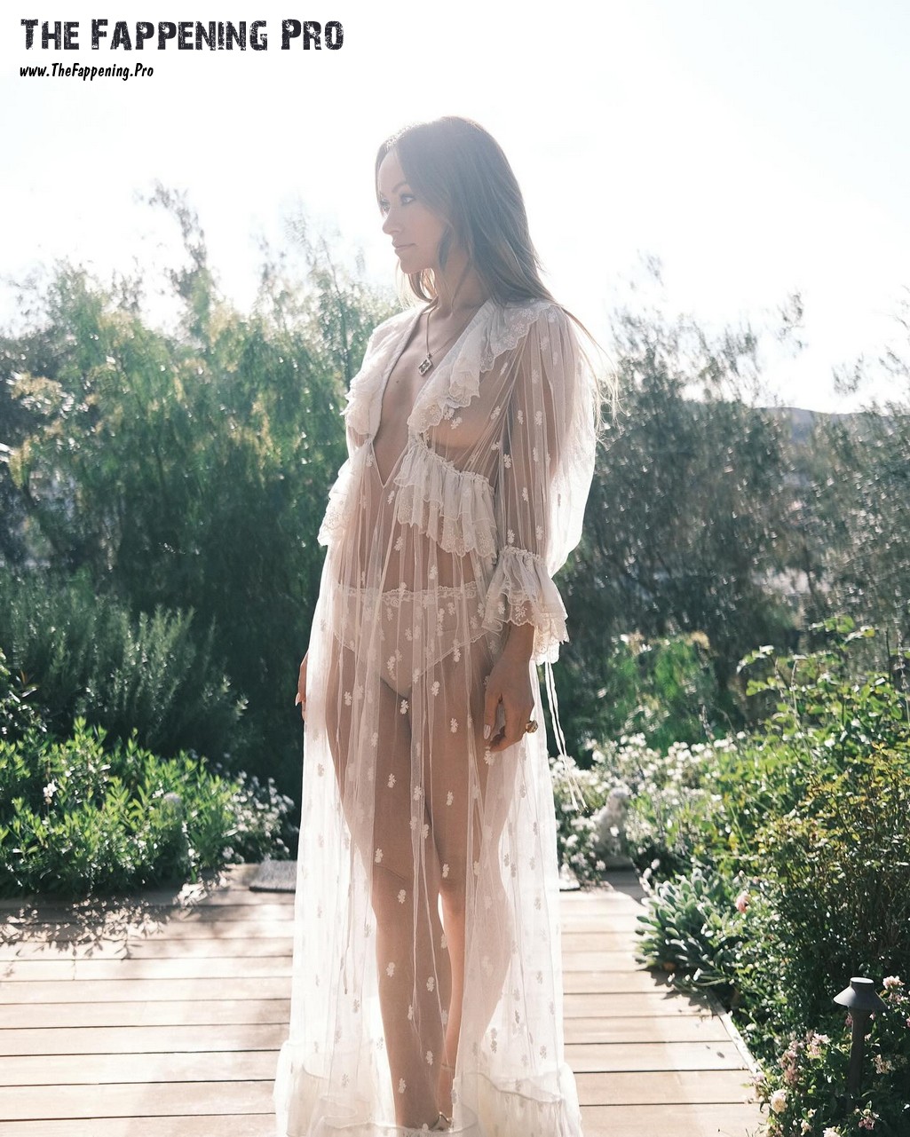 olivia-wilde-nudity-thefappeningpro-3 Olivia Wilde See Through Nudity
