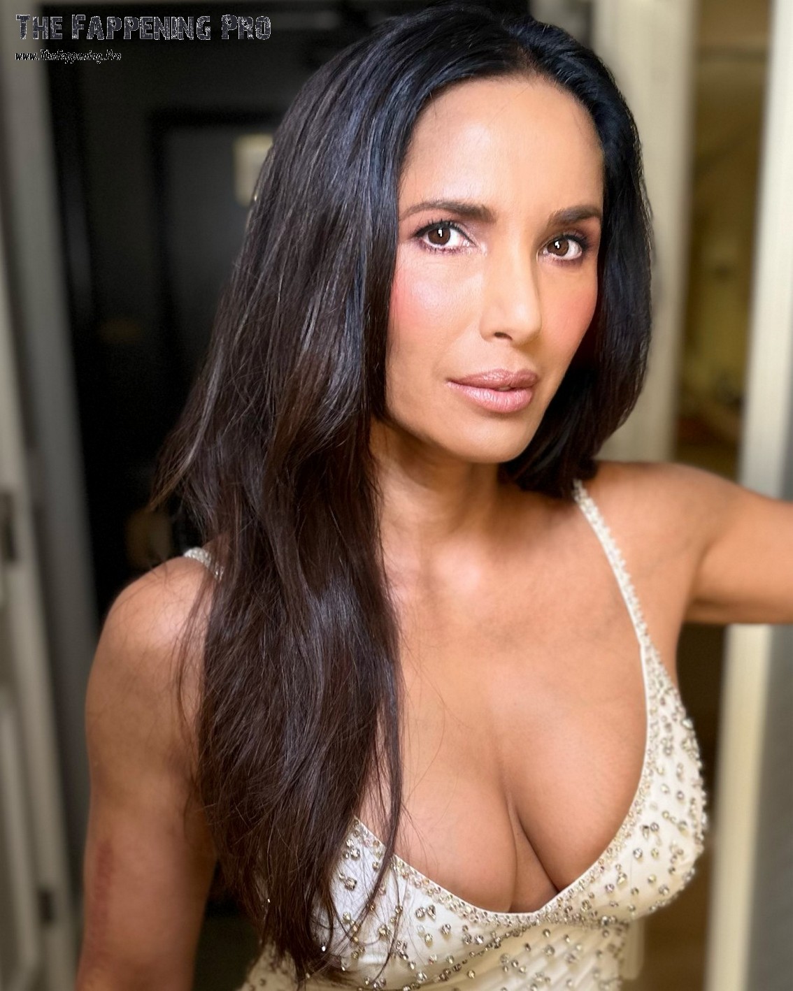 padma-lakshmi-tits-thefappening-cfd-1 Padma Lakshmi Tits