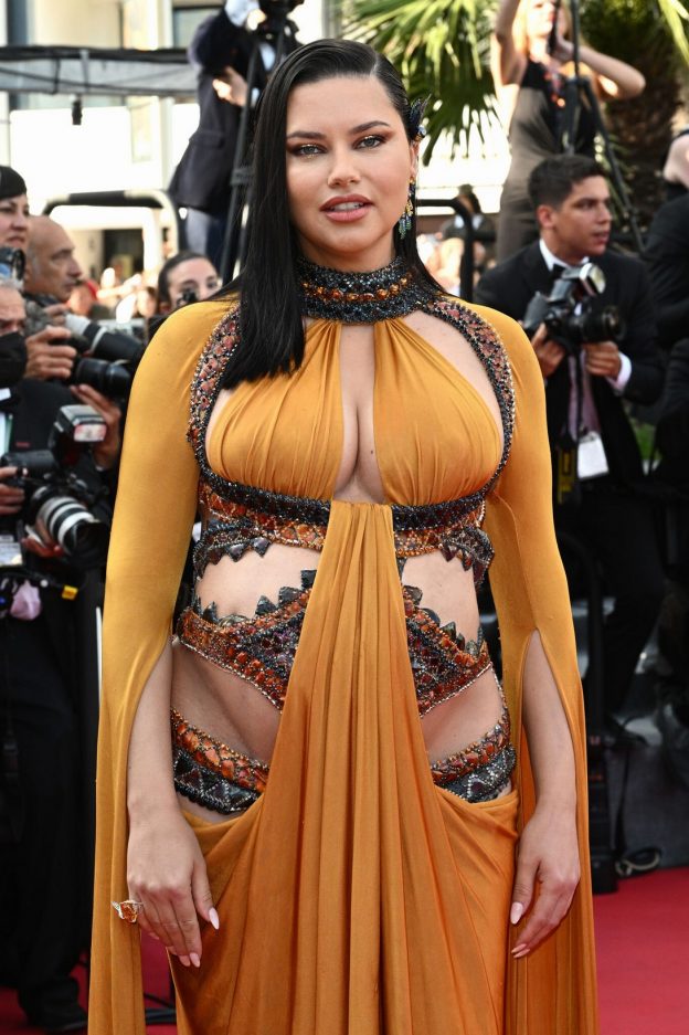 Adriana Lima Pregnant In Cannes (15 Photos) 4 Adriana Lima Sexy Preggo TheFappening.Pro 2 624x937 1