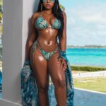 Ashanti Sexy Bikini (8 Photos) 20 Ashanti Bikini TheFappening.Pro 1 624x780 1