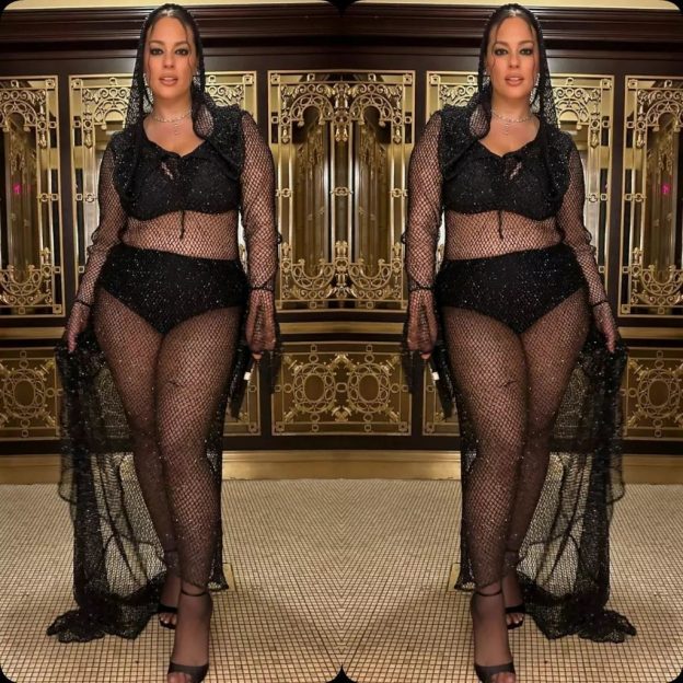 Ashley Graham See Through TheFappening.Pro 8 624x624 1