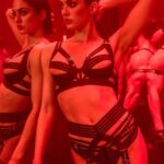 Charlie Robertson Sexy Lingerie TheFappeningPro 5 624x780 1