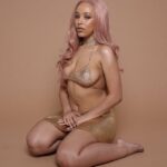 Doja Cat See Through TheFappening.Pro 8 624x701 1