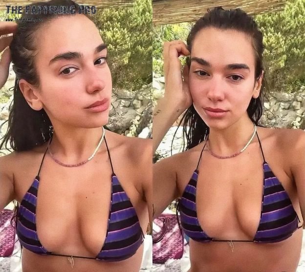Dua Lipa Selfie TheFappening.Pro 1 624x557 1