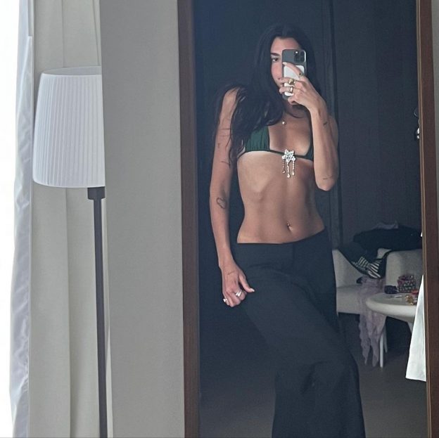 Dua Lipa Selfie TheFappening.Pro 2 624x623 1