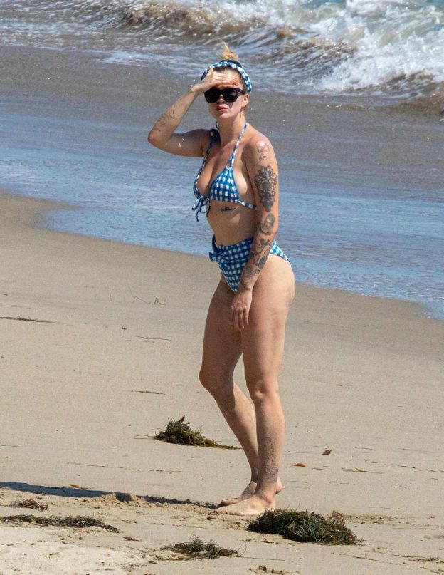 Ireland Baldwin Sexy Ass In Vintage Bikini TheFappening Pro 14 624x807 1