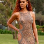 Joan Smalls See Through (11 Photos And Video) 15 Joan Smalls See Through TheFappening.Pro 2 624x780 1
