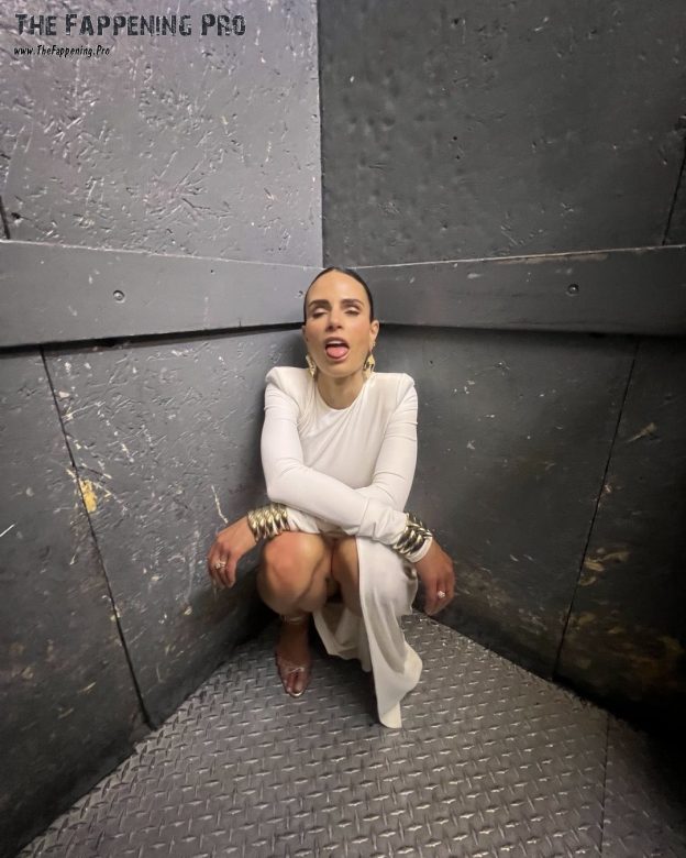 Jordana Brewster Upskirt (1 Photo) 12 Jordana Brewster Upskirt TheFappening.Pro 1 624x780 1