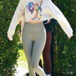 Kendall Jenner Cameltoe TheFappening.Pro 19 624x1110 1