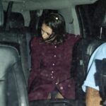 Nina Dobrev 1 Panties TheFappening.pro 624x665 1