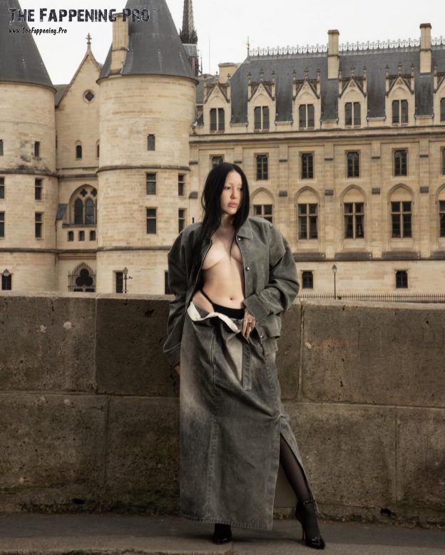 Noah Cyrus Braless For Y-Project 23 (6 Photos) 4 Noah Cyrus Sexy TheFappening.Pro 2 624x779 1