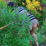 Olivia Culpo Naked Ass Upskirt