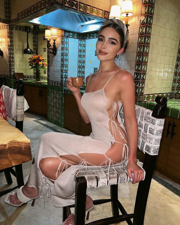 Olivia Culpo Sideboobs TheFappening.Pro 3 624x780 1