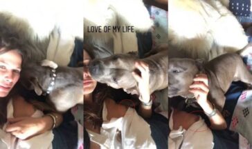 Rhona Mitra Nude Tits (9 Photos + Videos) 11 Rhona Mitra Nude 624x371 1