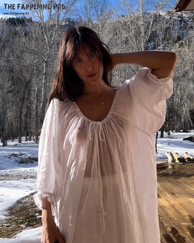 Scout Willis Nude TheFappening.Pro 2 624x780 1