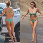 Shailene Woodley Bikini 2022 624x575 1