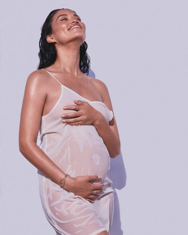 Shanina Shaik Sexy Pregnant TheFappening.pro 2 624x780 1