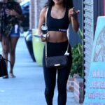 Karrueche Tran Sexy in Los Angeles (13 Photos) 20 TheFappening Karrueche Tran Sexy 13 624x1090 1