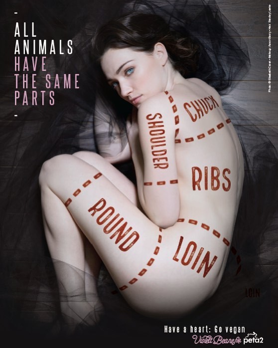 Violett Beane Nude The Fappening Pro