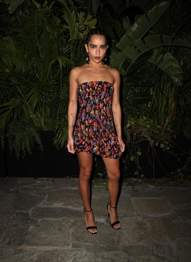 Zoe Kravitz Sexy In Little Dress (2 Photos) 8 Zoe Kravitz Sexy In Little Dress TheFappening.Pro 1 624x854 1