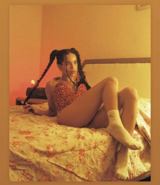 Zoe Kravitz Sexy In Bed With Pigtails (2 Photos) 5 Zoe Kravitz Sexy TheFappening.pro 1 624x722 1