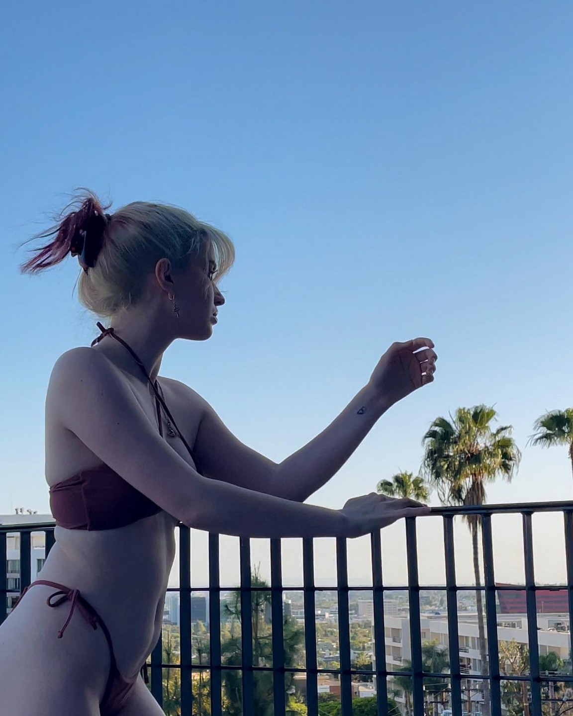 abby-roberts-bikini-thefappening-pro-1 Abby Roberts Sexy Bikini