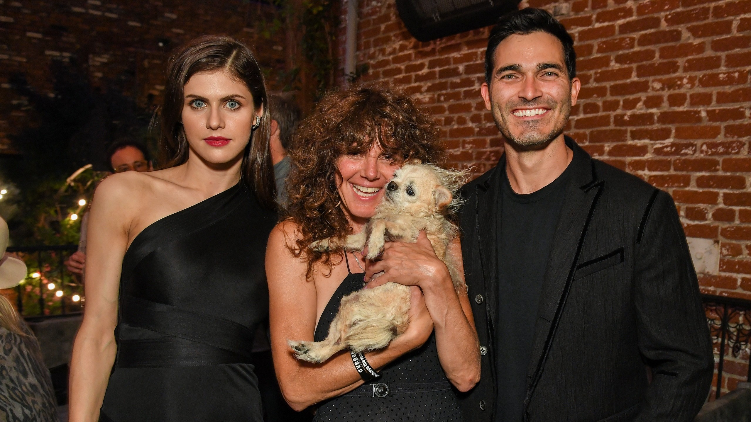 alexandra daddario sexy can you keep a secret 26