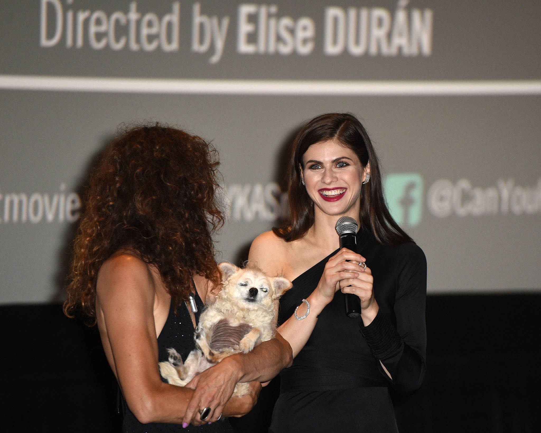 alexandra daddario sexy can you keep a secret 42