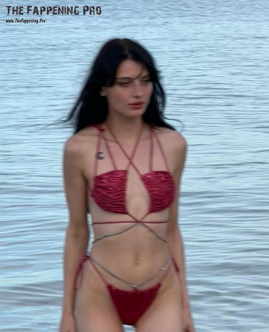 alice-pagani-bikini-thefappening-cfd-31 alice pagani bikini thefappening cfd 31