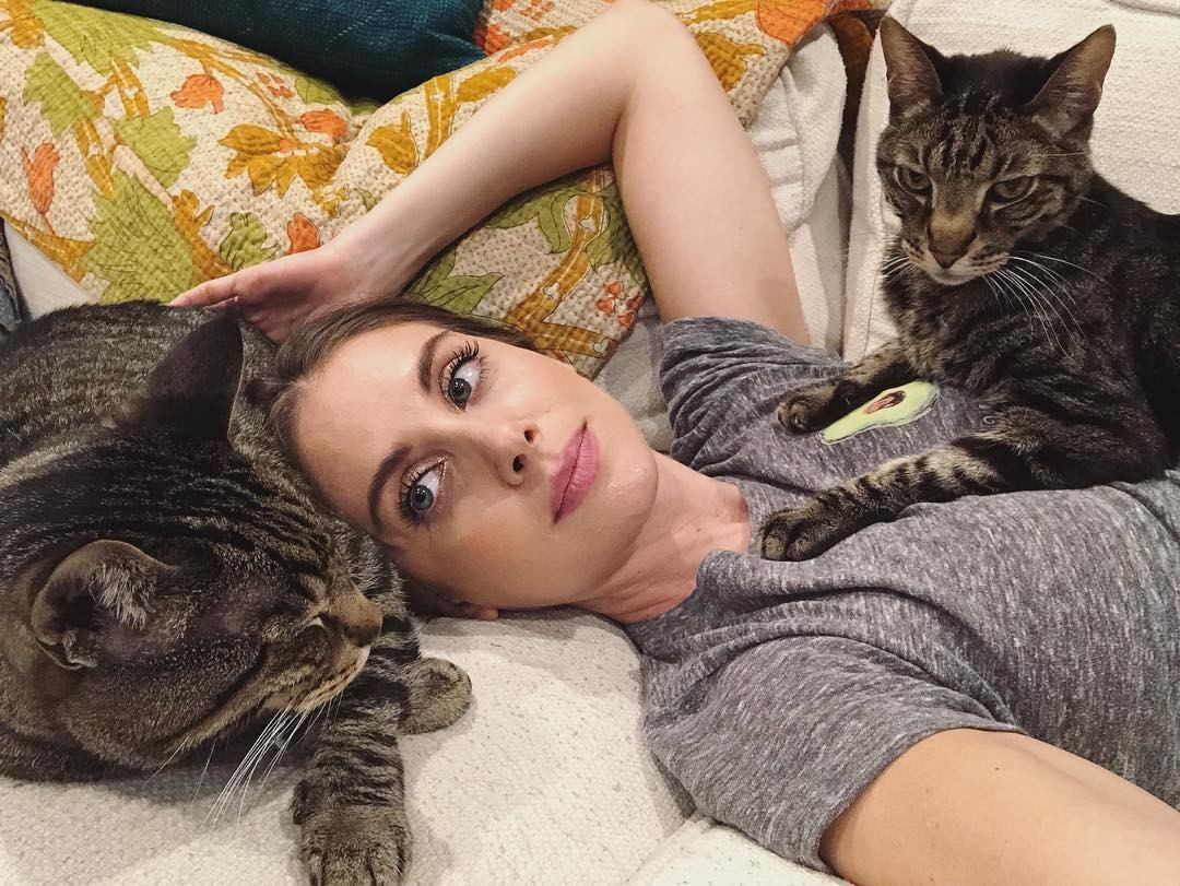 alison-brie-sexy-12 alison brie sexy 12