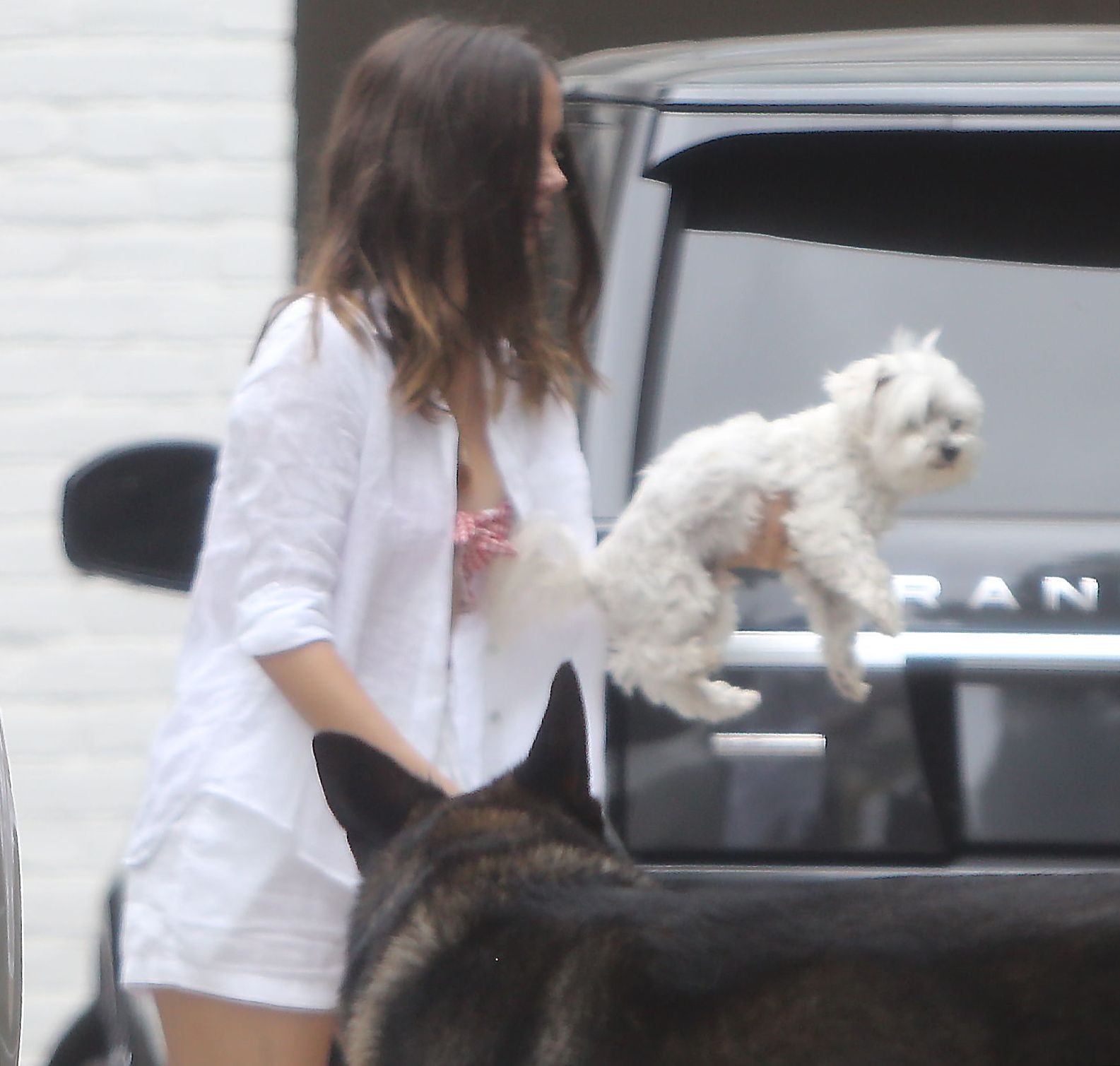 ana-de-armas-showed-bare-feet-and-underboobs-in-la-thefappening-pro-14 ana de armas showed bare feet and underboobs in la thefappening pro 14