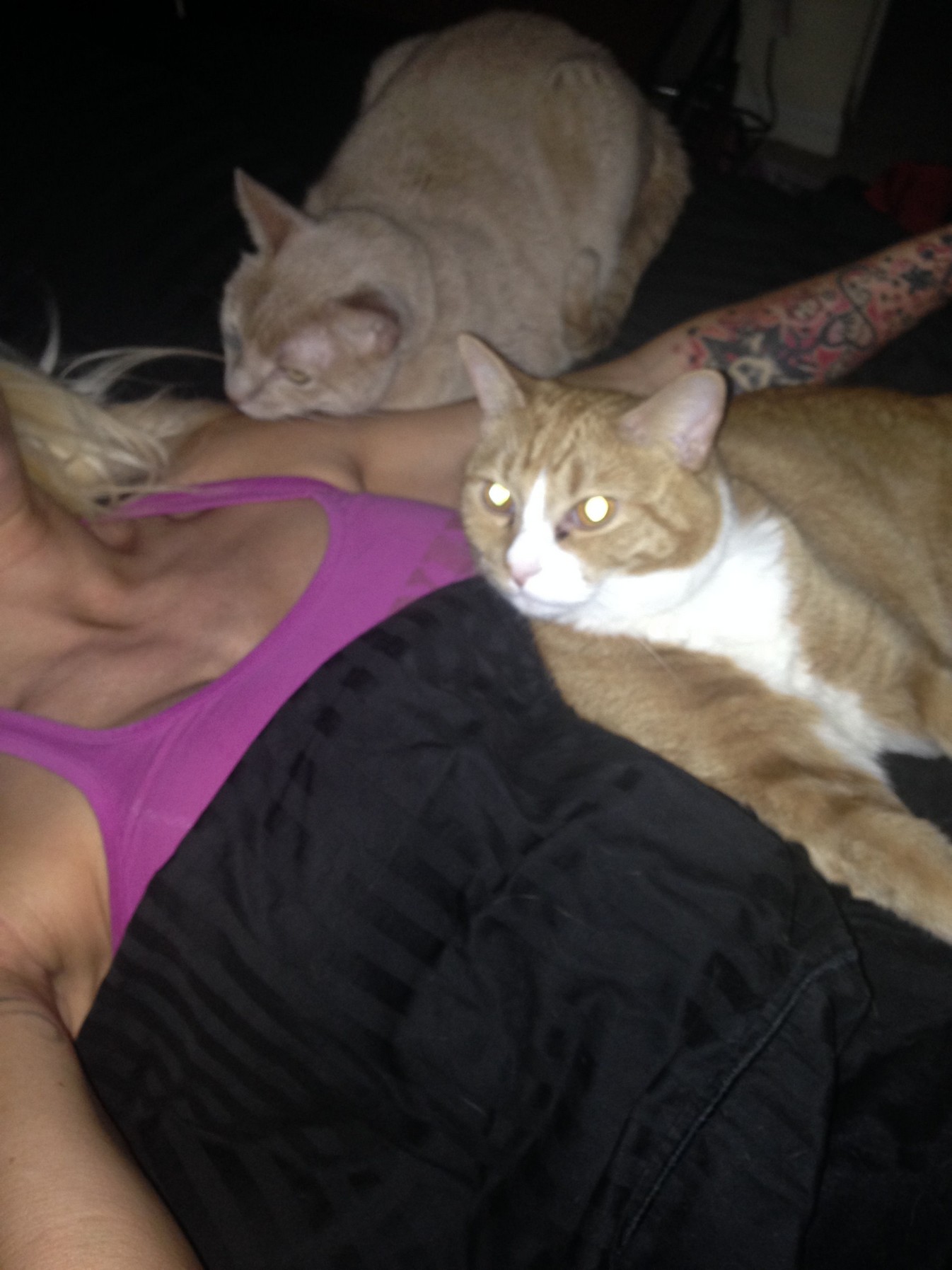 angelina-love-leaks-thefappening-pro-31 angelina love leaks thefappening pro 31
