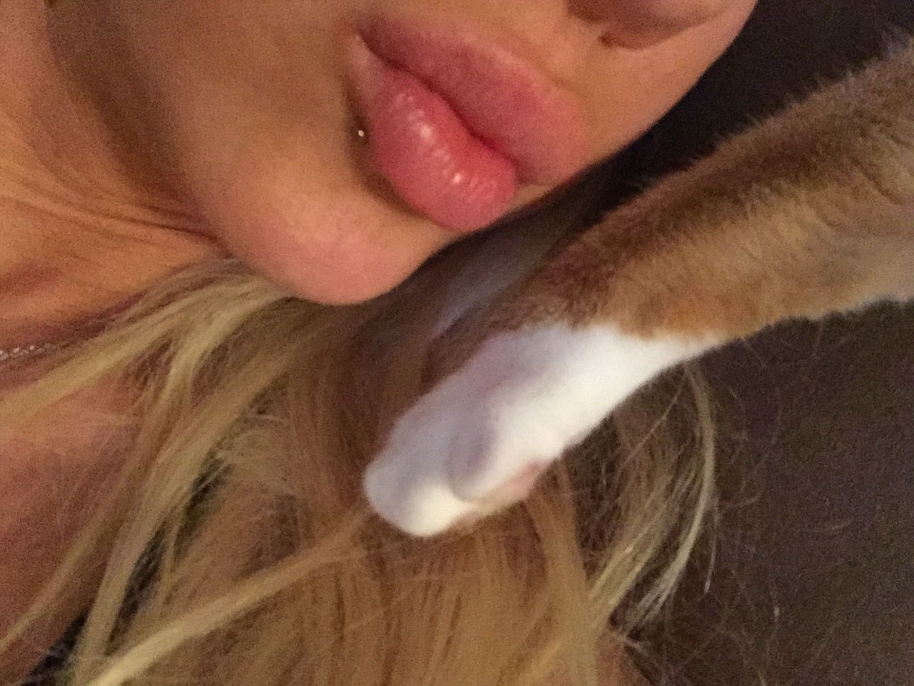 angelina-love-leaks-thefappening-pro-61 angelina love leaks thefappening pro 61