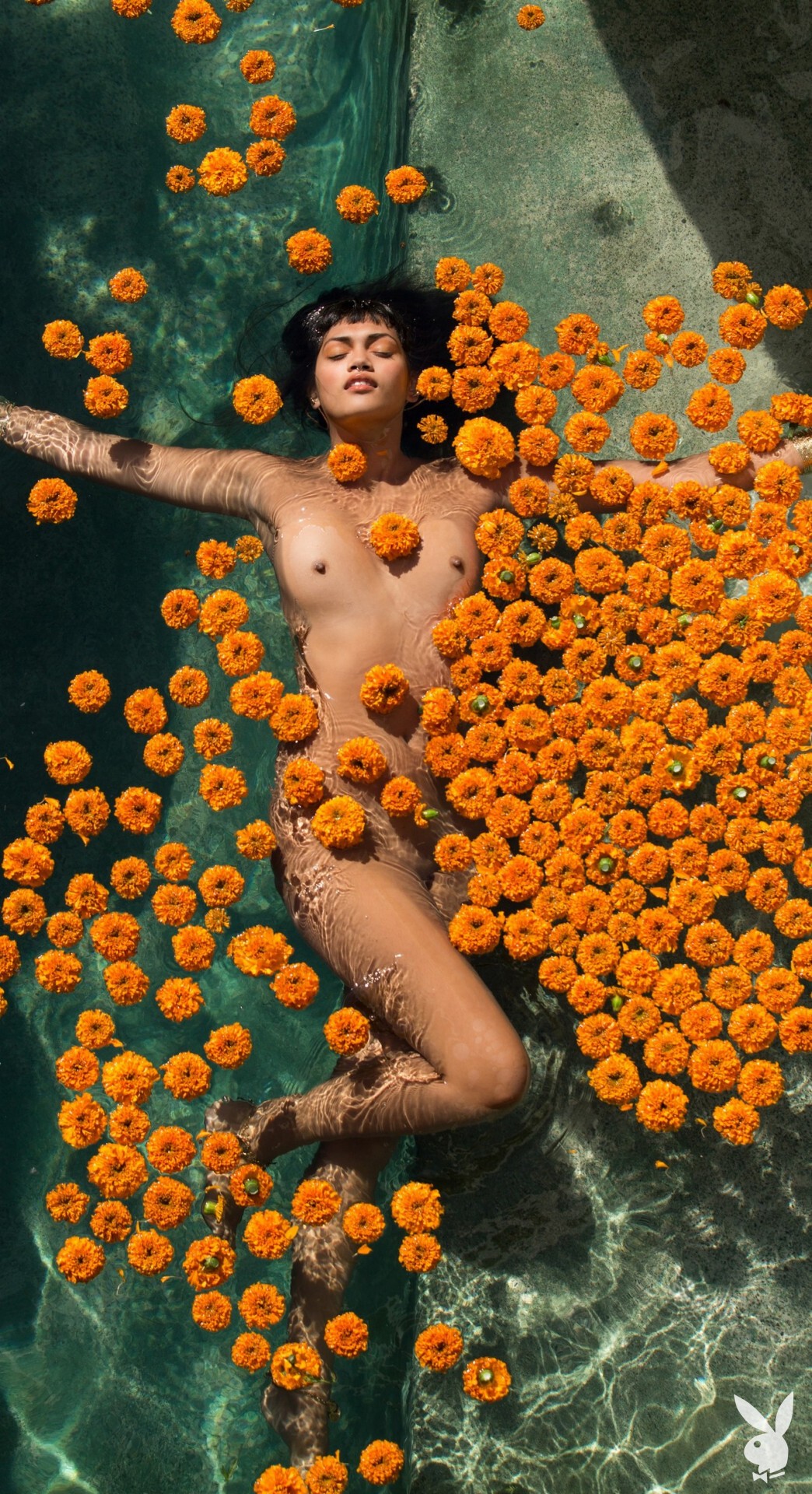 anita-pathammavong-nude-playmate-thefappening-pro-7 anita pathammavong nude playmate thefappening pro 7