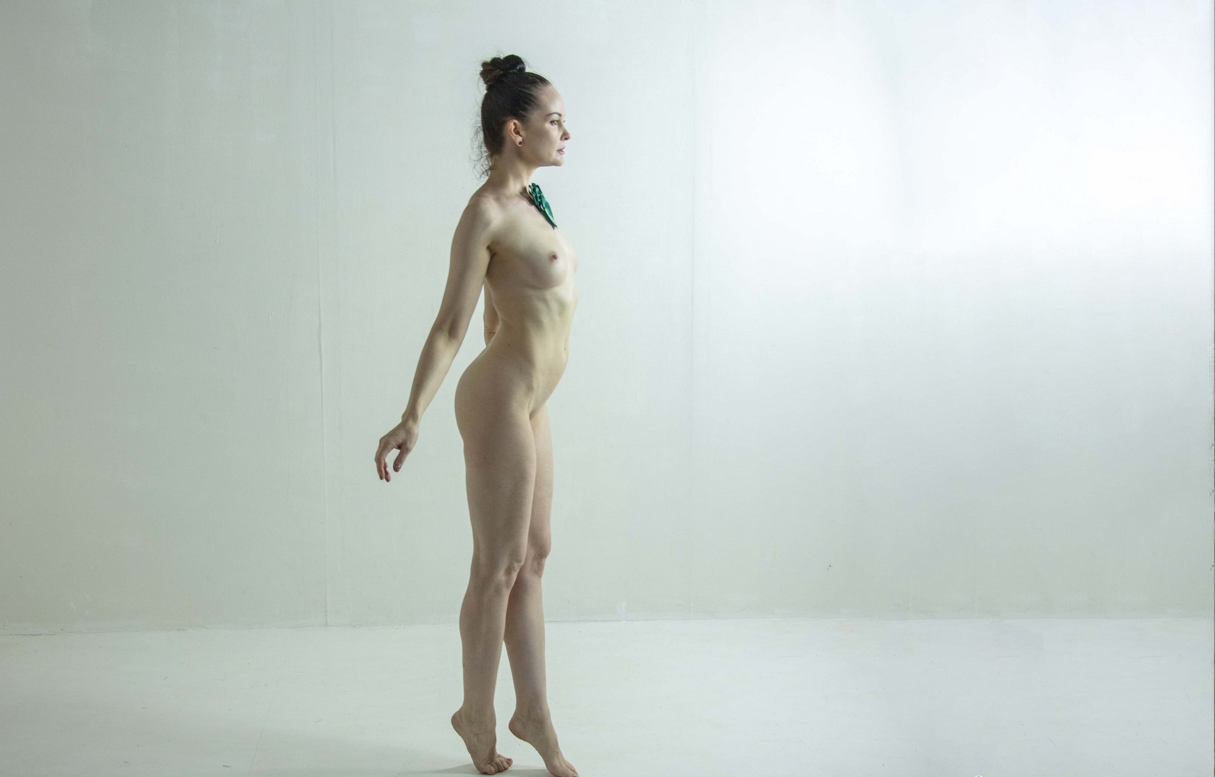 anne duffy nude ballet dancer thefappening cfd 33