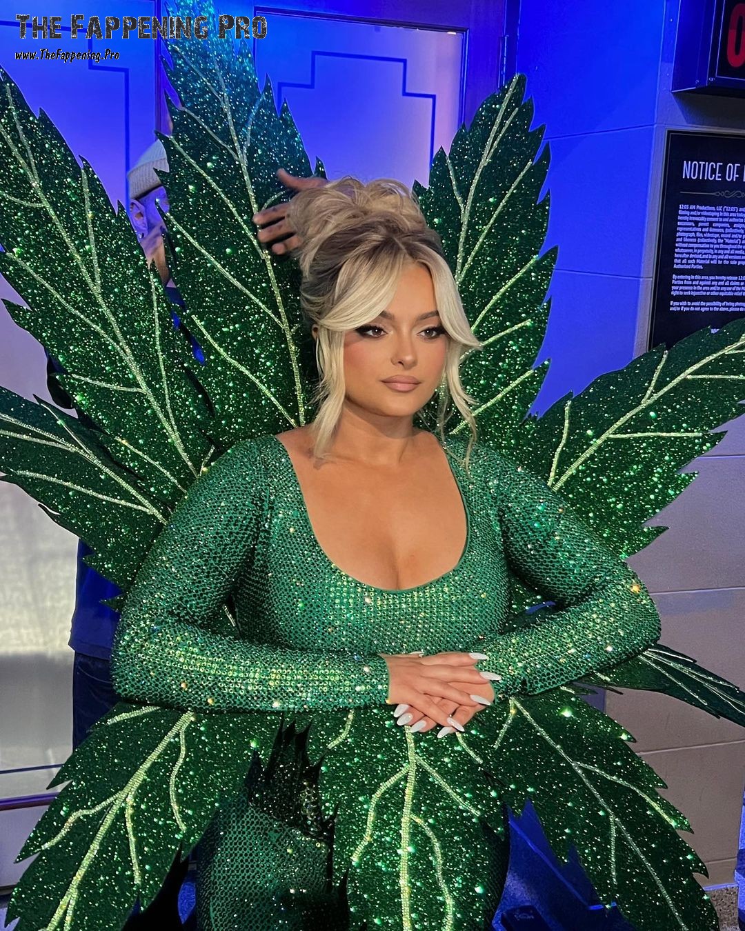 bebe-rexha-sexy-thefappening-cfd-14 bebe rexha sexy thefappening cfd 14
