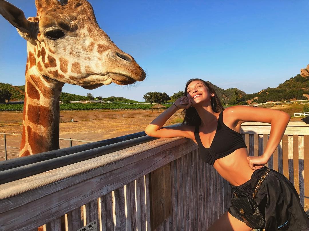 bella-hadid-nude-sexy-the-fappening-pro-37 bella hadid nude sexy the fappening pro 37