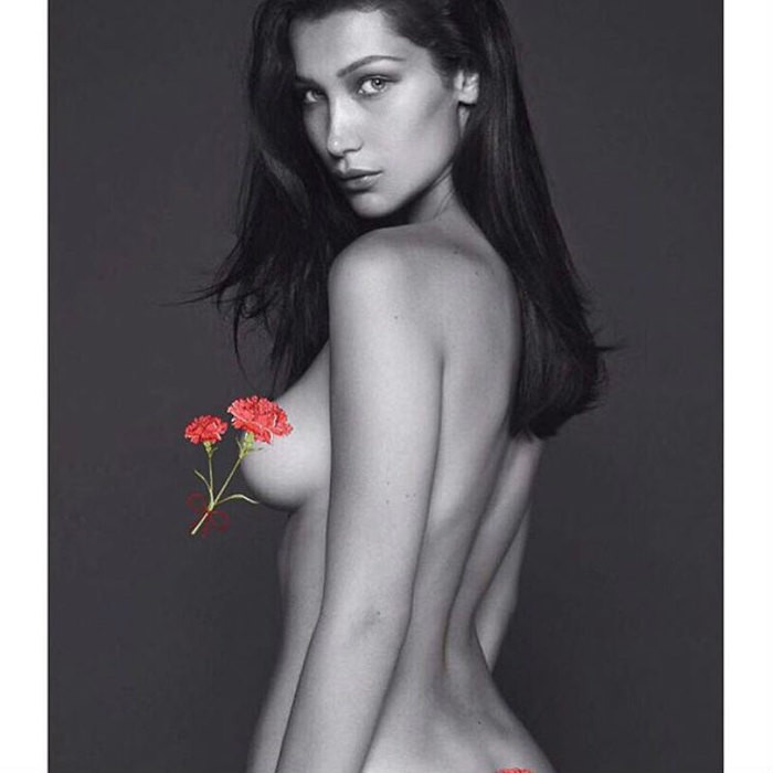 bella-hadid-nude-sexy-the-fappening-pro-47 bella hadid nude sexy the fappening pro 47