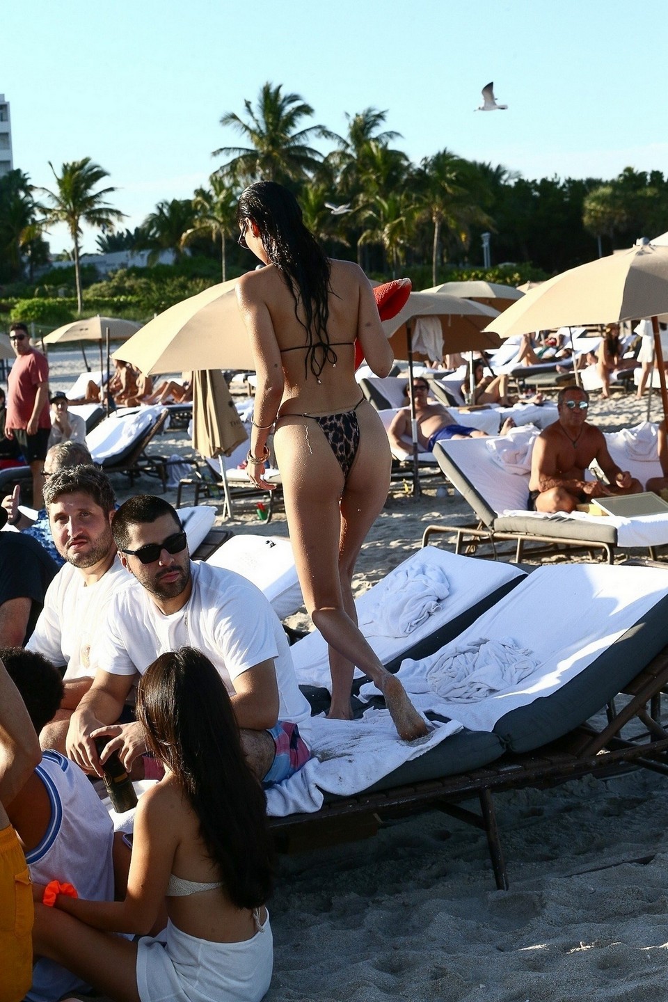 bella-hadid-sexy-bikini-thefappening-cfd-16 Bella Hadid Ass